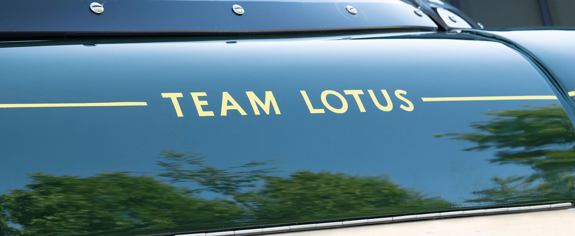 Lotus 040.jpg